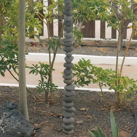 Magnifico En Dunas De Appartement